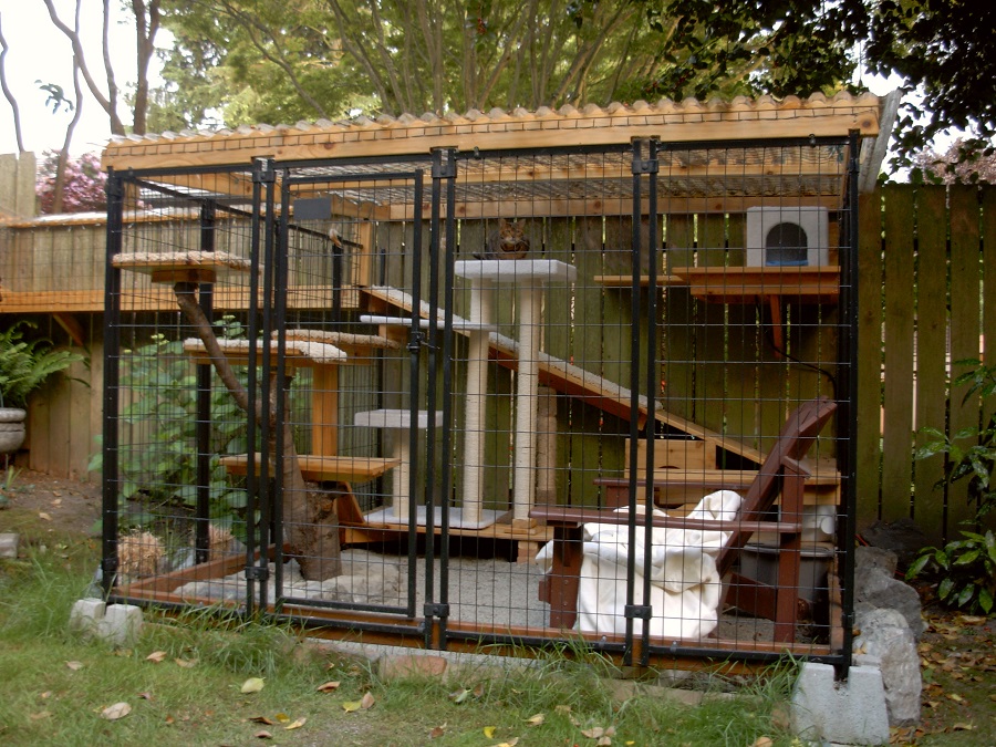 Catios iz the new backyard feature that you'll absolutely ...