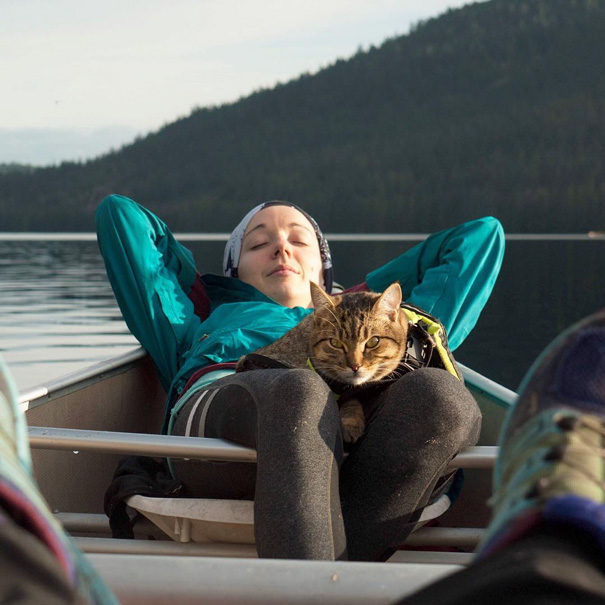 26 pictures of cats camping will inspire you to go hiking with your cat