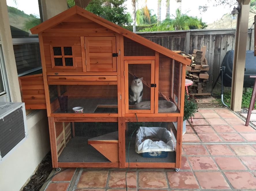 She bought a chicken coop for her cats and they absolutely ...