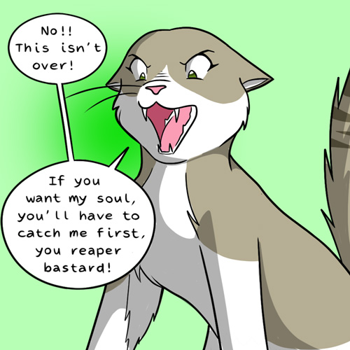 raccoon cat comic part 2