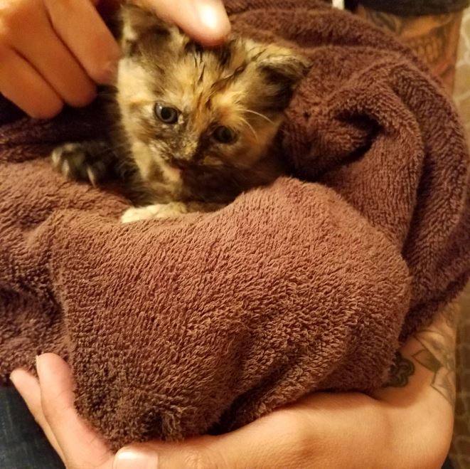 stormy cuddling in towel