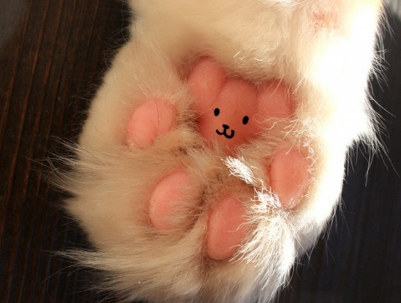 toe beans 11