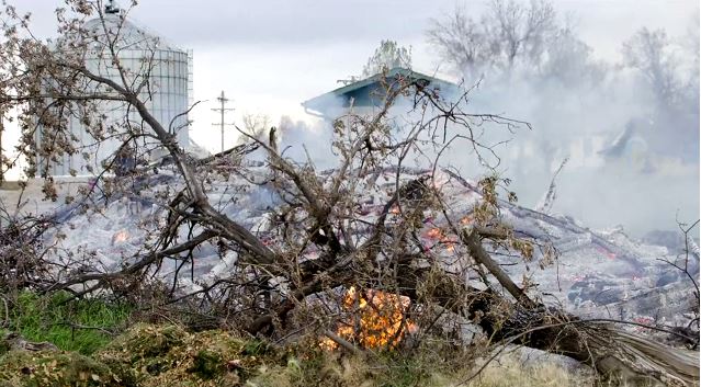 captured controlled fire