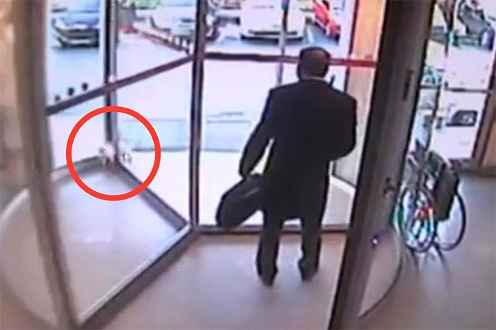stray cat stuck in revolving door