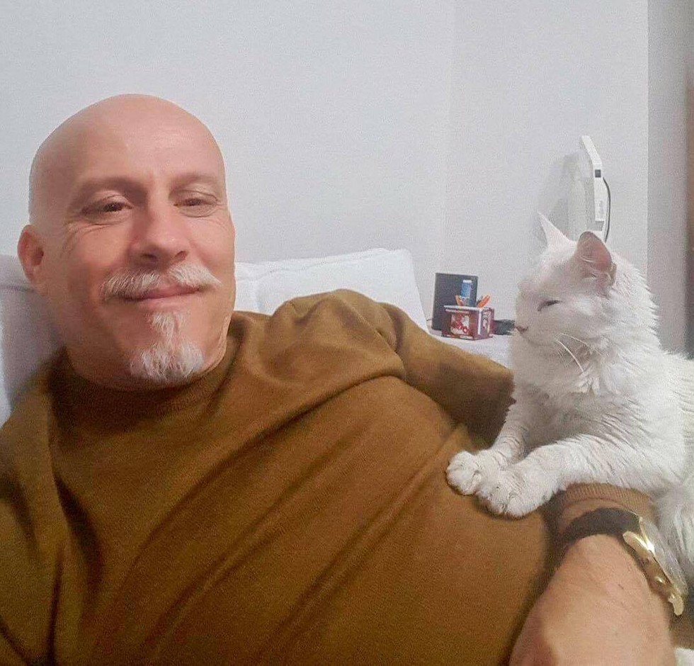 doctor and miracle cat 2