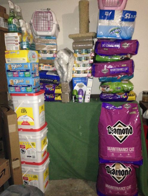 bonnie the cats donations