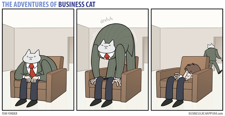business cat stretch