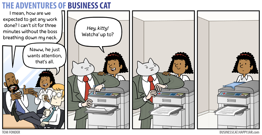 business cat attention