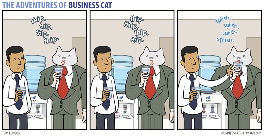 business cat sip