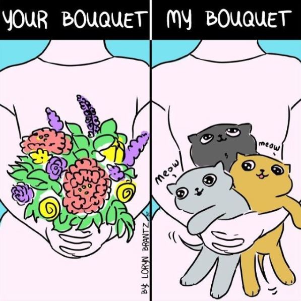 relatable cat bouquet comiic