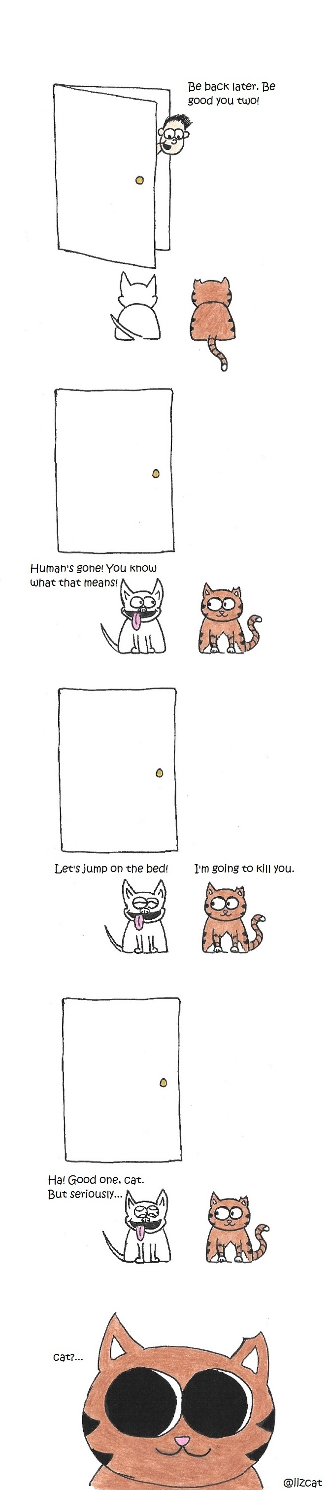 iizcat while the human is away the cat will play cat vs dog comic