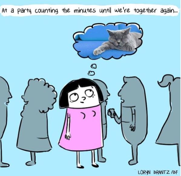 relatable cat comic party