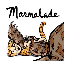 the unadoptables cat comic marmalade