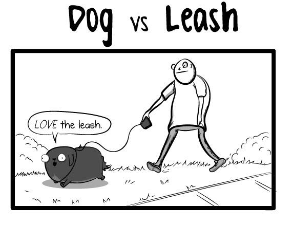 dog leash oatmeal 