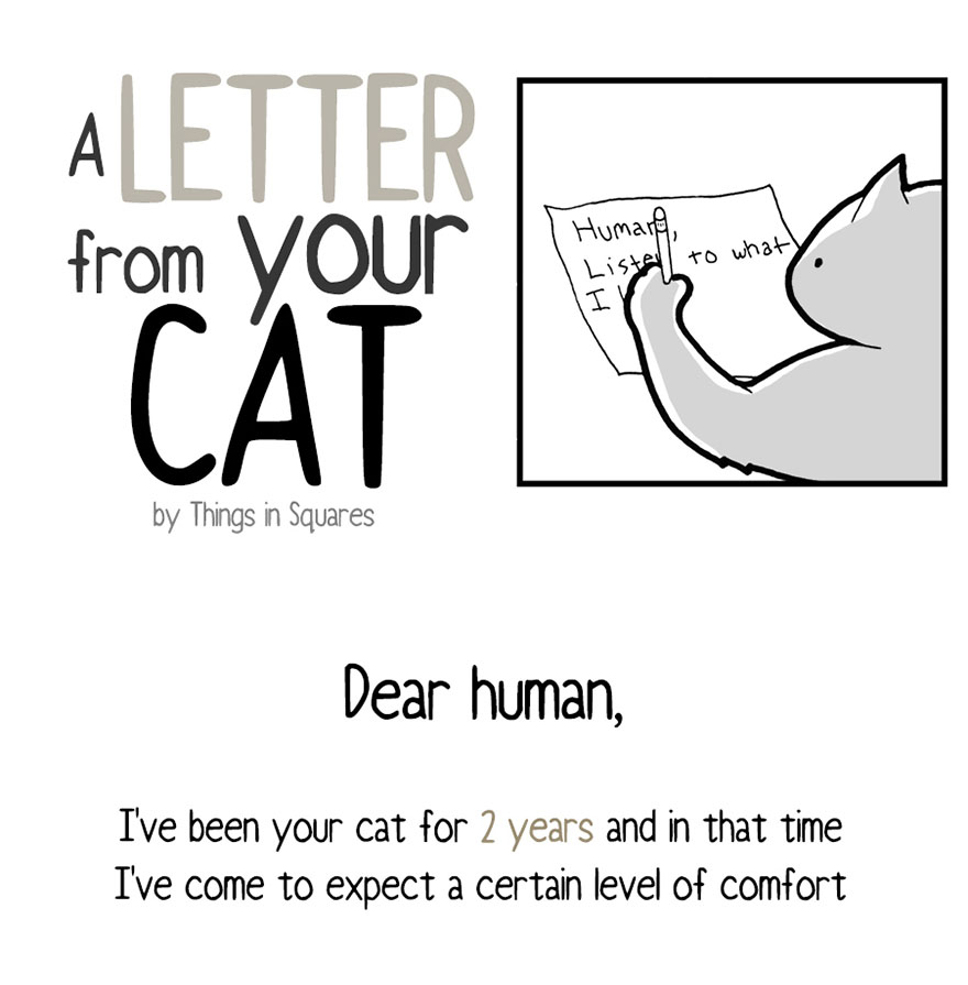 a letter from your cat 1