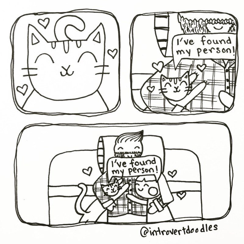 introverted cat lady comics 14