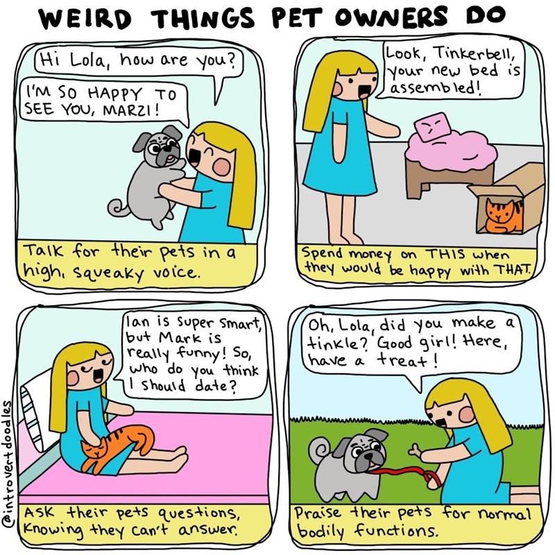 introvert cat lady comics 6
