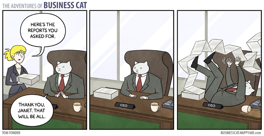 businesscat2