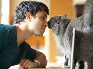 meow1