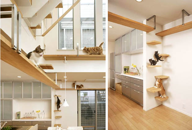 cathouse5