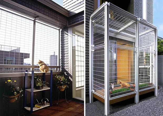 cathouse6
