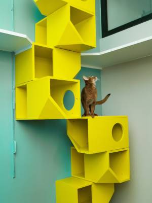 cathouse3