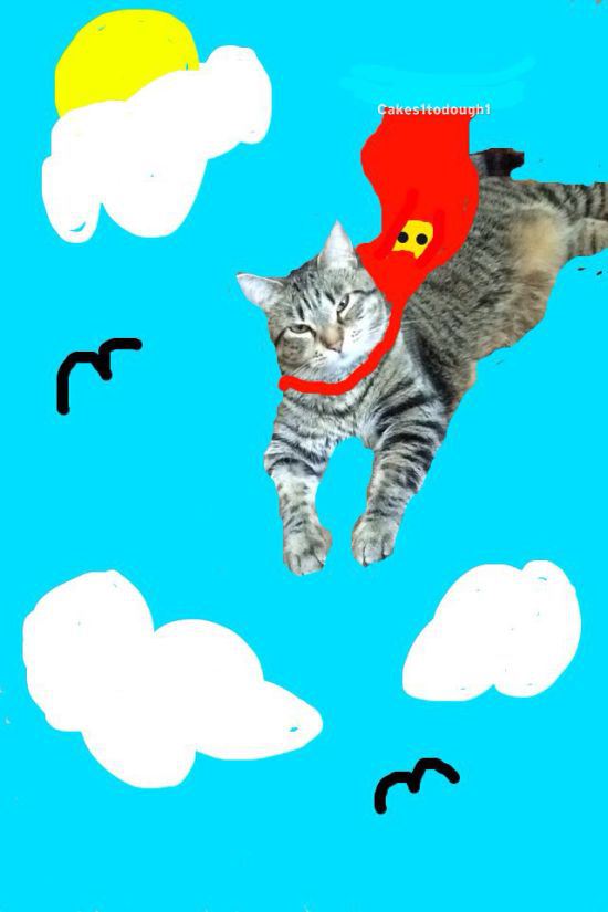 this girl turned her lazy cat into snapchat glory awesome