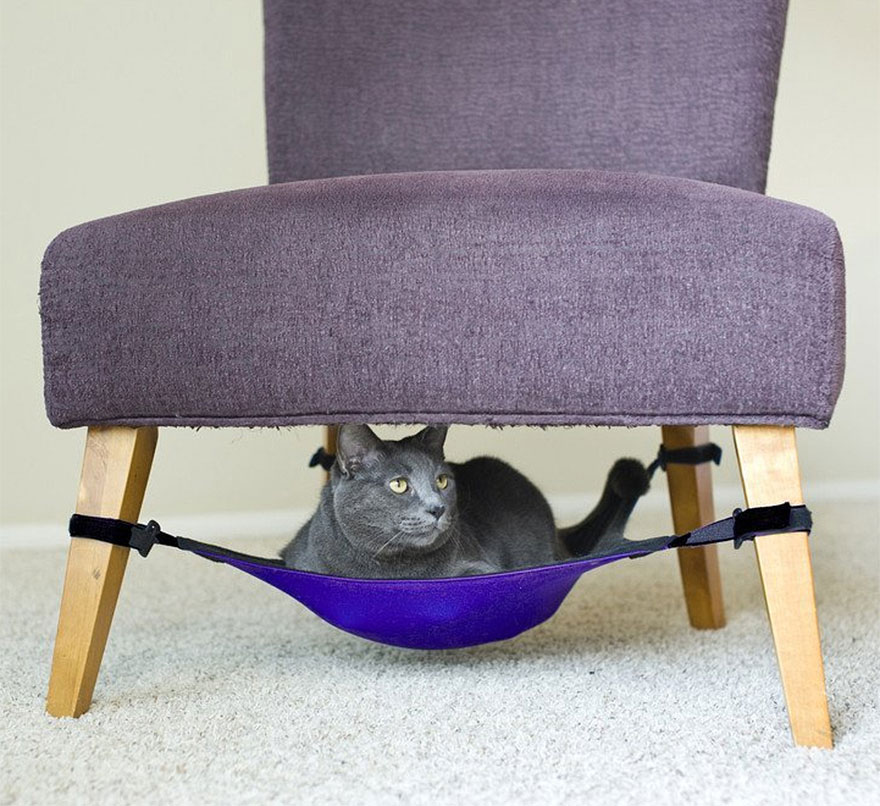 25 awesome furniture design ideas for cat lovers!