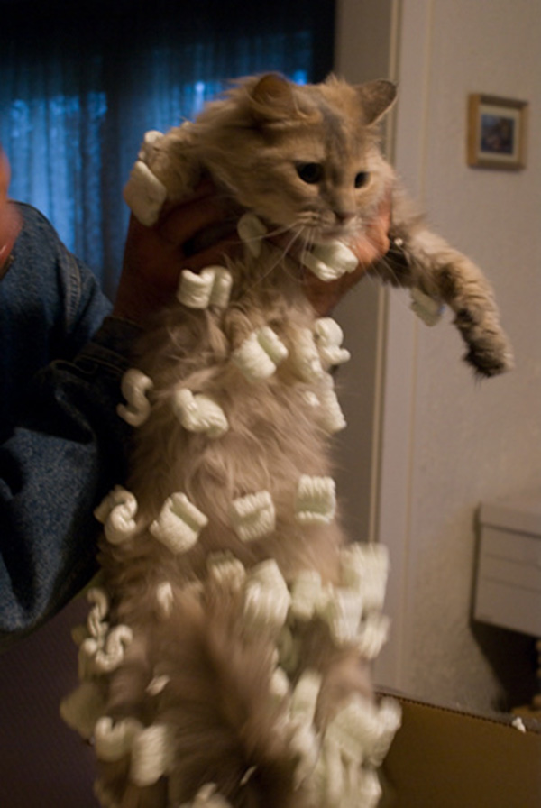 Cotton Static Electricity at Sarah Barksdale blog