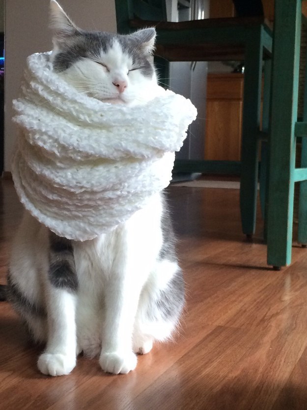 cold14