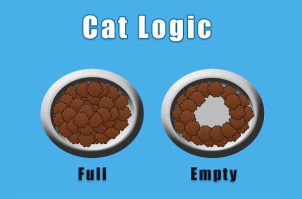 logic1