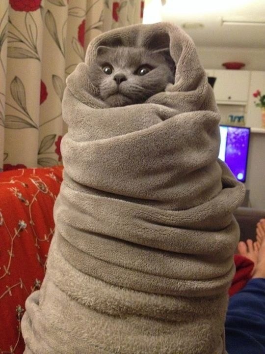cold13