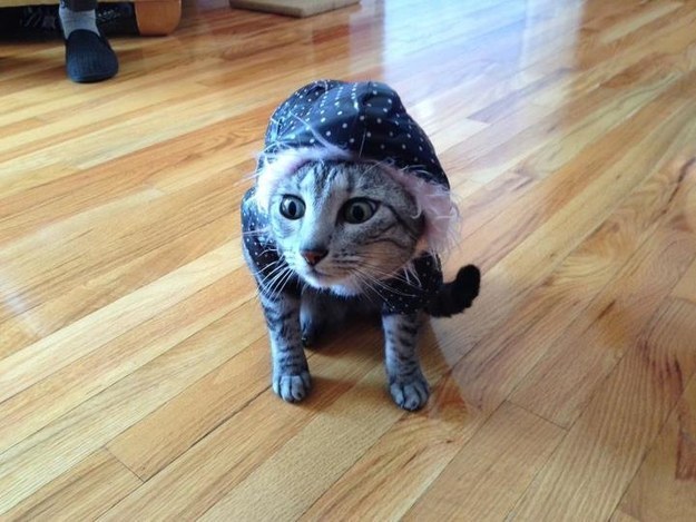 cold5