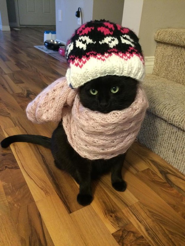 cold2