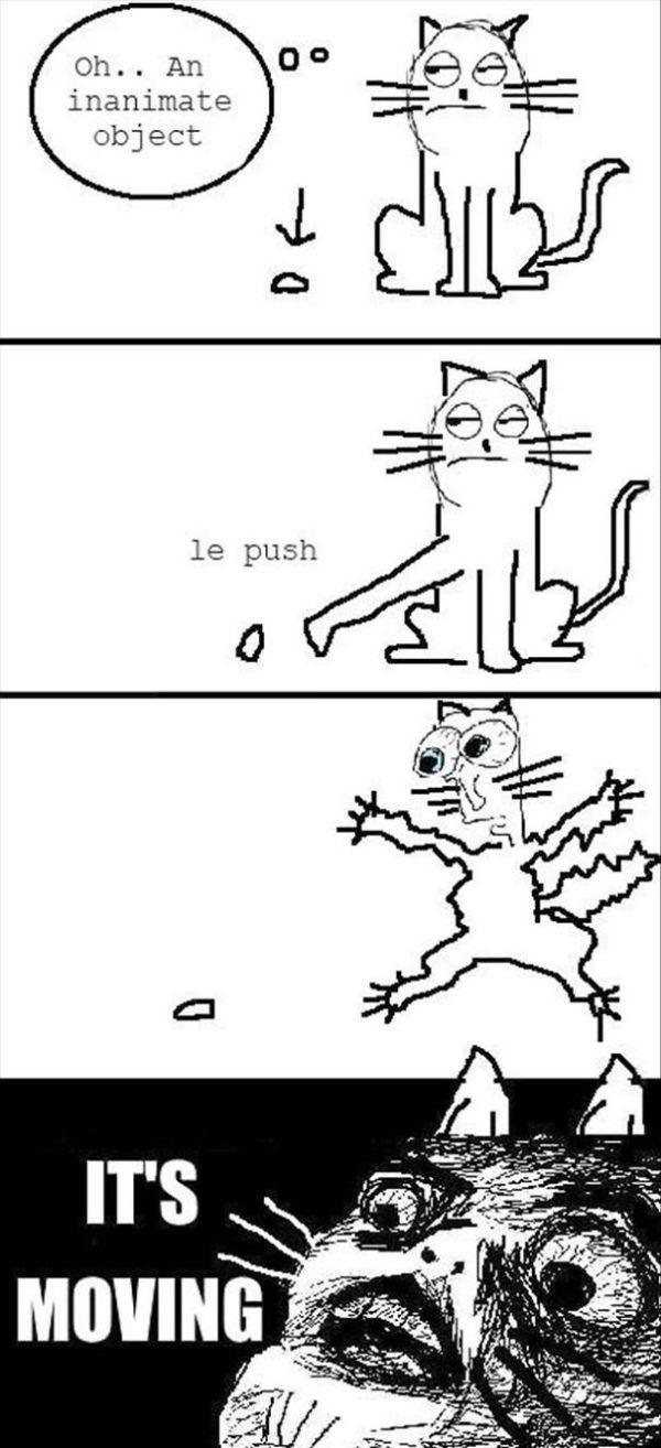 logic8