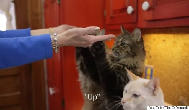 up