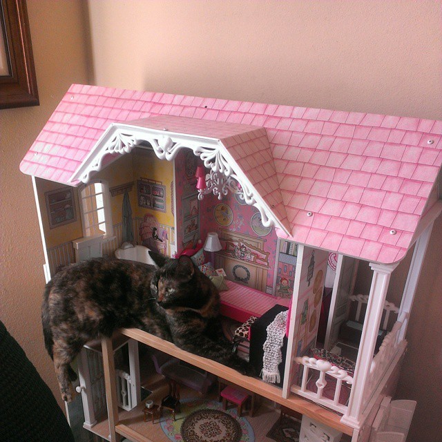 Cat Doll House 2024 www.tasteactually