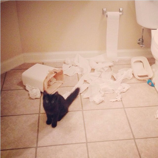 Was agent orange fda approved image