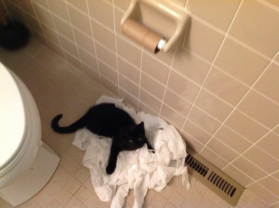 Herbicides the never ending battle essay picture