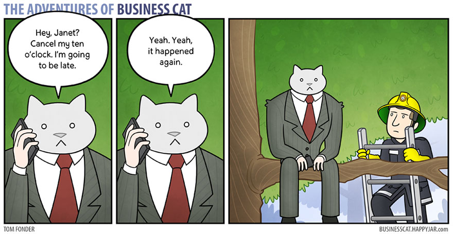 How your office would if your boss was a cat (Gallery)