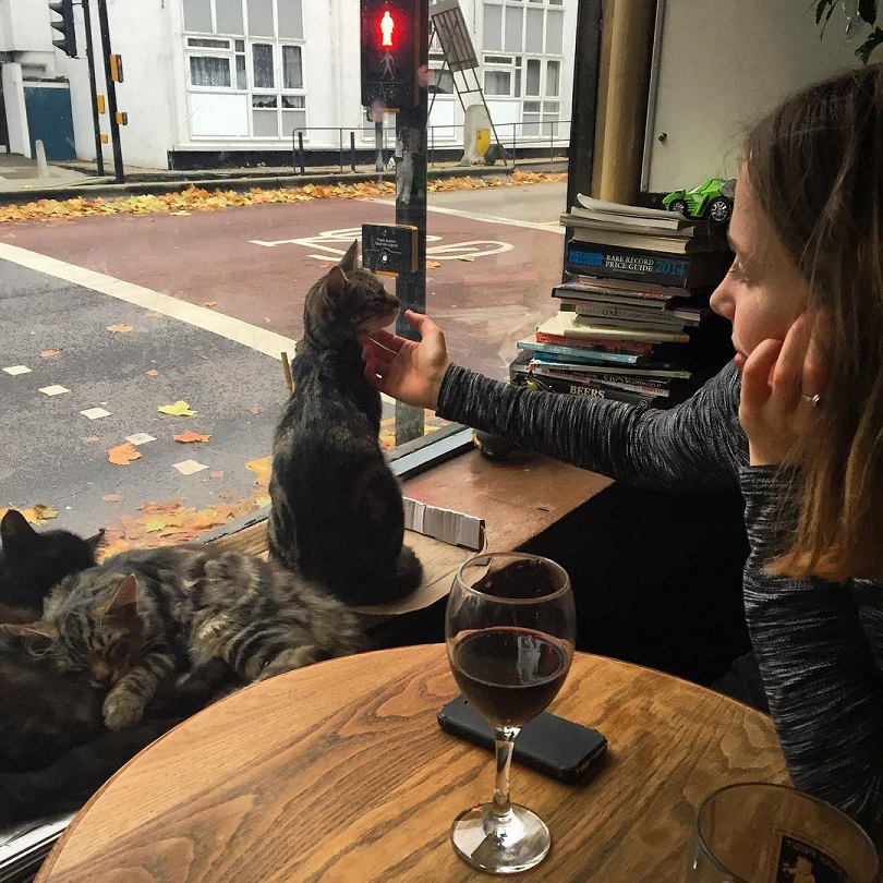 pub5