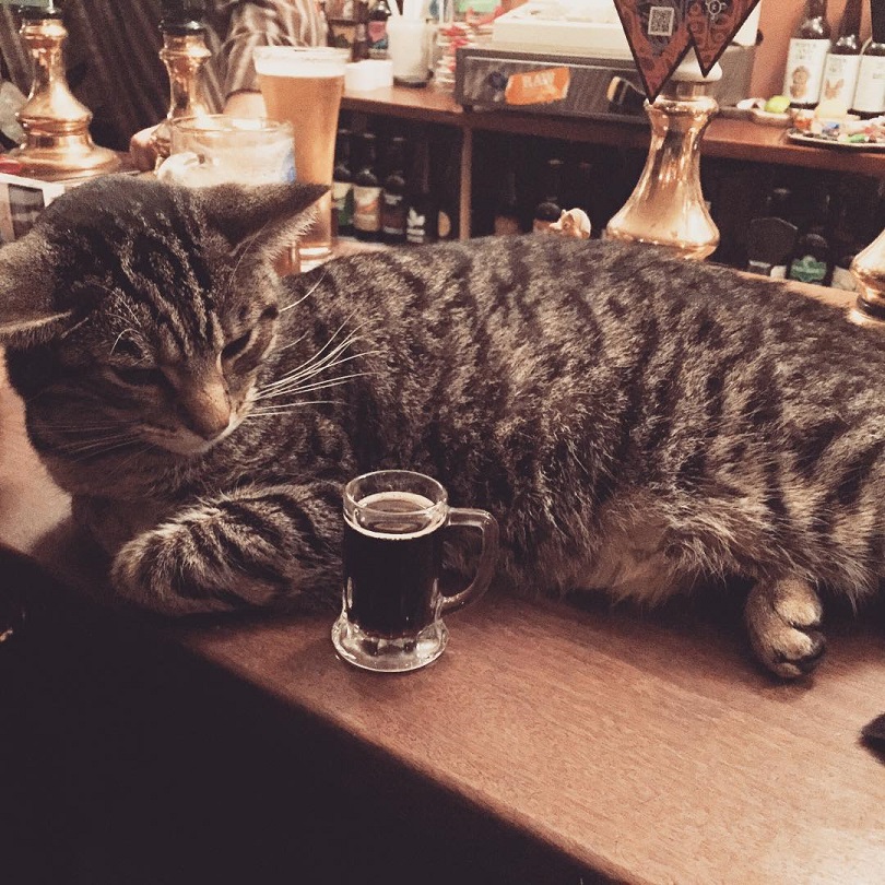 pub8