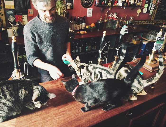 pub2