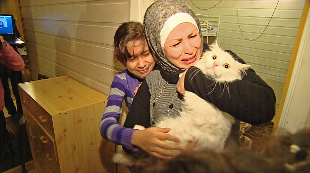 Refugee family and their lost cat finally reunited 4 months later. This