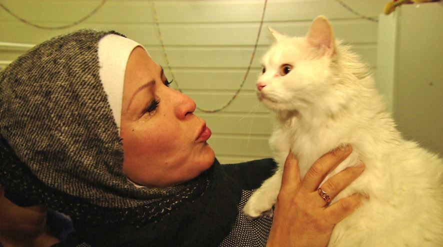 Refugee family and their lost cat finally reunited 4 months later. This