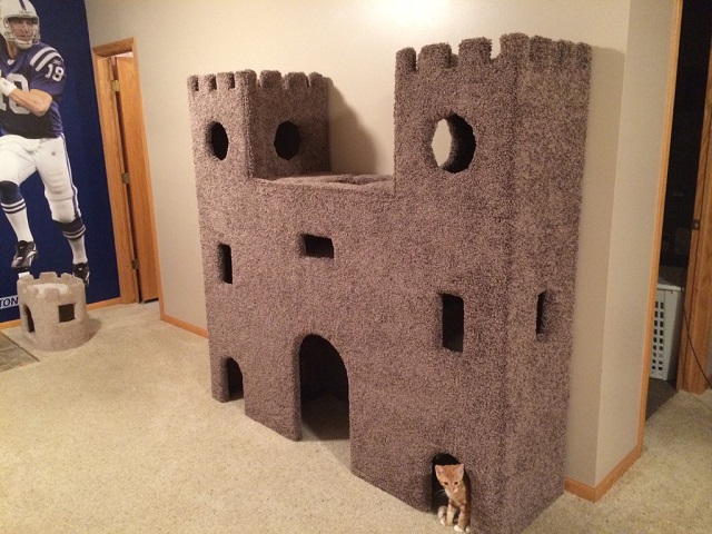 cat castle tower