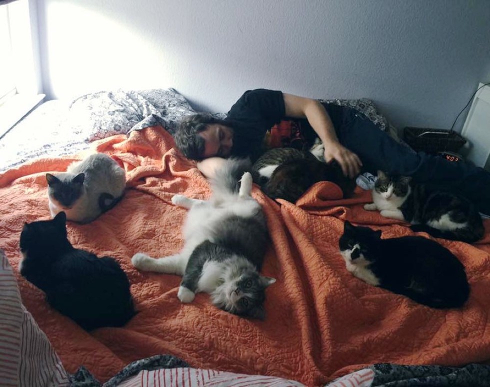 THIS is how you properly volunteer at a cat sanctuary