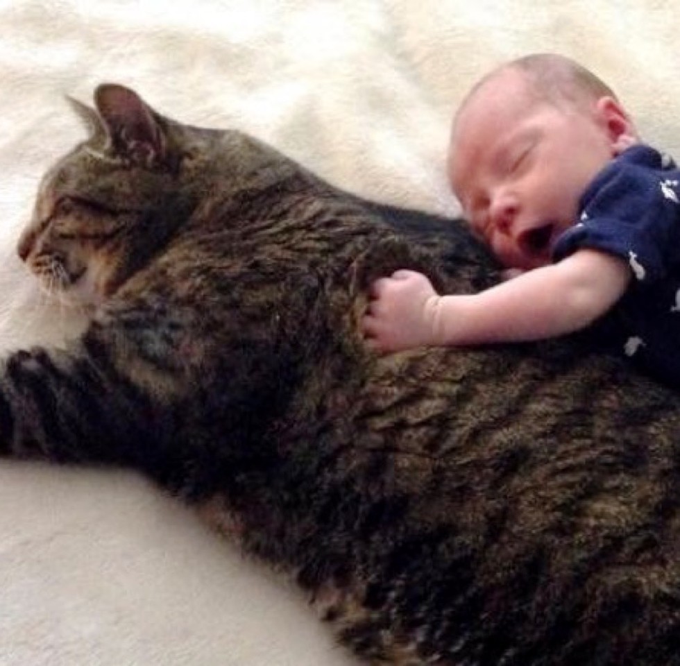 Tabby cat and baby are cuddle buddies for life!