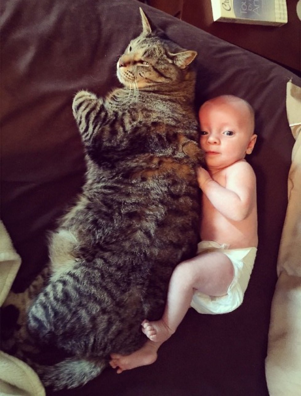 Tabby cat and baby are cuddle buddies for life!