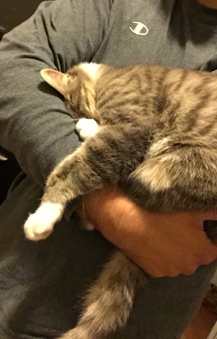 After A Long Day Of Work He Picks Up His Cat And All Of His Worries Wash Away